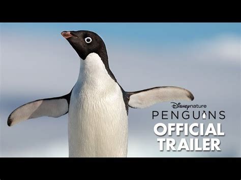 penguin fmovie|penguin movie netflix.
